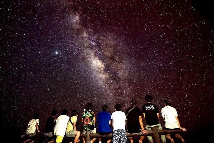 Miyako Island Night Jungle & Stargazing Tour — Coconut Crabs and Starry Skies