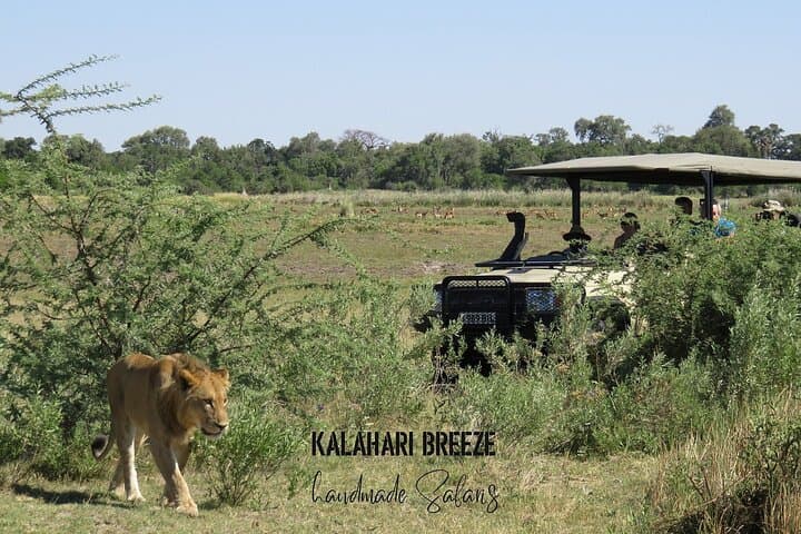 Okavango Delta Wilderness Trail: 8-Day Mokoro & Moremi Safari photo 2