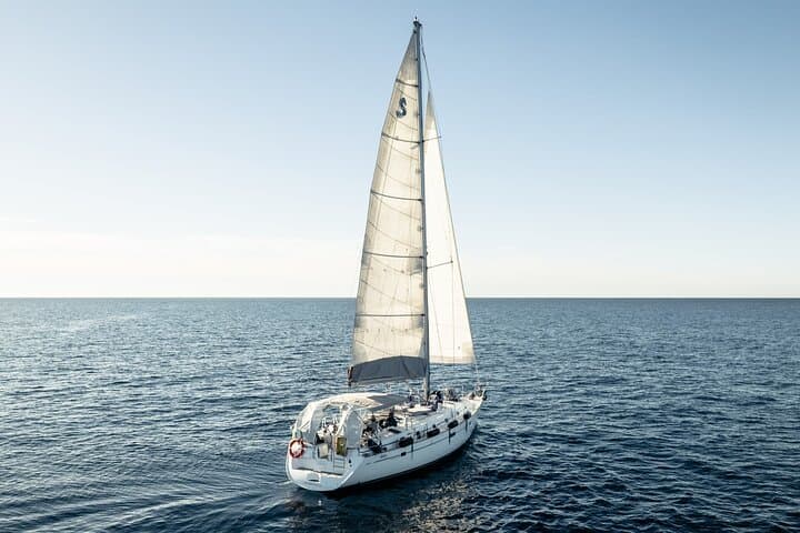 Exclusive Los Cabos Whale Watching Aboard the Aura Sailing Boat photo 2