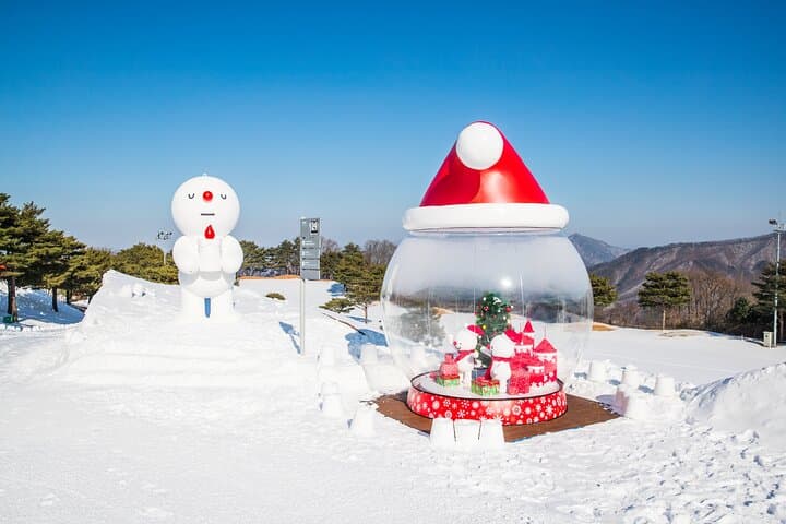 Seoul Winter Day Trip: Eobi Ice Valley, Strawberry Picking & Vivaldi Park Sledding photo 3