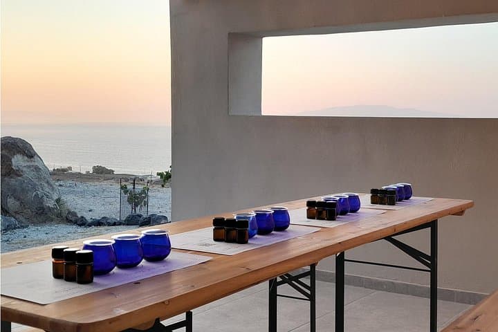 Santorini Organic Farm Tour: Olive Oil & Black Raisin Vineyard Tasting photo 3