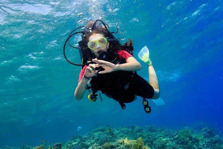 Hurghada Beginner Scuba Diving: 2 Dives, Lunch & Red Sea Reef Tour photo 4