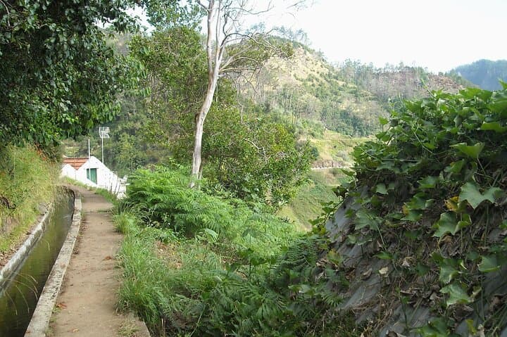 Madeira Levada Referta to Castelejo Guided Walk — North Coast Levadas & Views photo 6