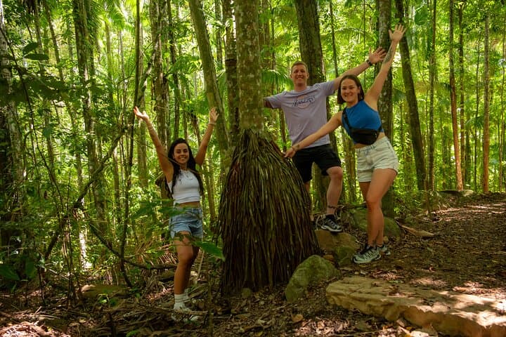 Cedar Creek Falls Rainforest Bushwalk from Airlie Beach — Eco Adventure photo 5