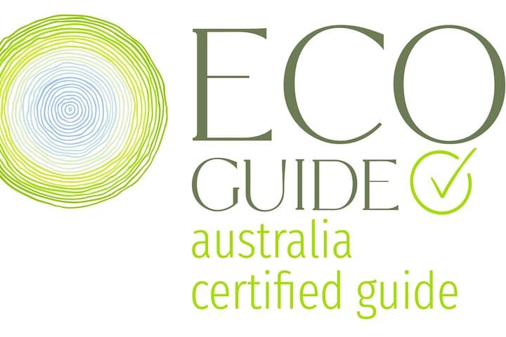 Cedar Creek Falls Rainforest Bushwalk from Airlie Beach — Eco Adventure photo 6