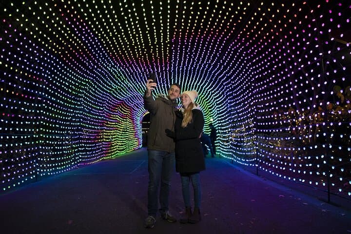 Bronx Zoo Holiday Lights: Nighttime Walkthrough & Visitor Guide photo 3