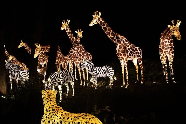 Bronx Zoo Holiday Lights: Nighttime Walkthrough & Visitor Guide photo 2
