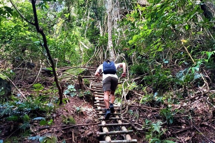 Tien Son Dinh Full-Day Trek on Phu Quoc: Summit, Forests & Coastal Views photo 5