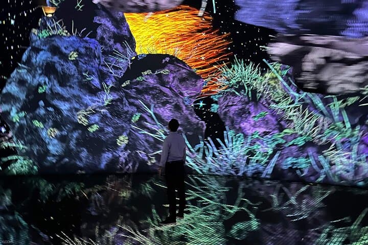 Inside teamLab Phenomena Abu Dhabi: Interactive Digital Art on Saadiyat Island photo 6