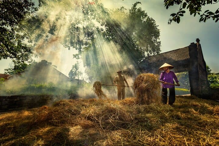 Day Trip to Thay Pagoda & Duong Lam Ancient Village from Hanoi: Culture, Cycling, and Countryside photo 4
