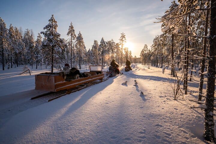Ranua Snowmobile Safari: 1-Hour Winter Lake Ride in Finnish Lapland photo 5