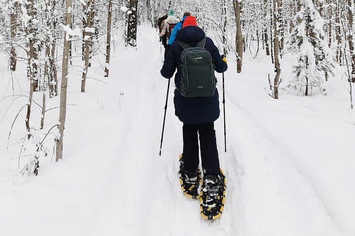 Snowshoe Survival Experience in Levi: Arctic Survival Skills & Forest Trek photo 2