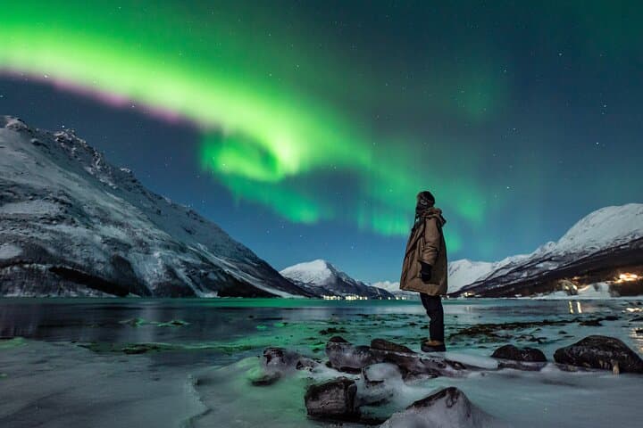 Chase the Aurora: Tromsø Minibus Northern Lights Adventure