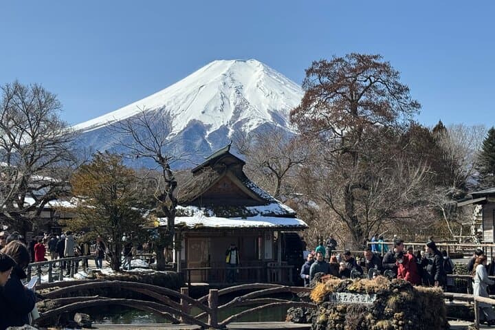 Private Mount Fuji Day Tour from Tokyo: Lakes, Pagodas & Panoramic Views photo 5