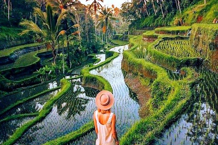 Ubud Waterfall, Tegalalang Rice Terraces & Monkey Forest Private Tour photo 4
