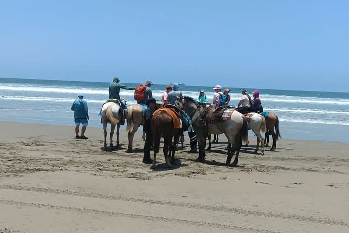 Stone Island Horseback Riding on the Beach — Mazatlán Isla de la Piedra Ride photo 4