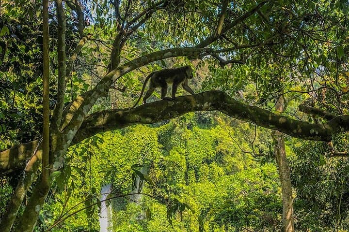 Sendang Gile & Tiu Kelep Waterfall Trek — Full-Day Lombok Adventure photo 3
