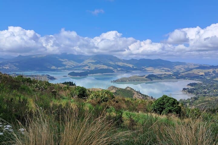 Banks Peninsula Explorer: Half-Day Private Scenic Tour from Christchurch photo 4