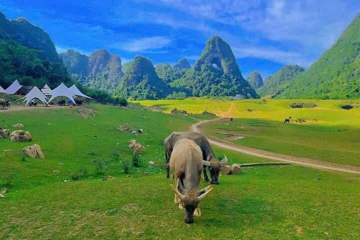 3-Day Cao Bang Adventure: Ban Gioc Waterfall, Pac Bo Cave & Limestone Passes photo 4