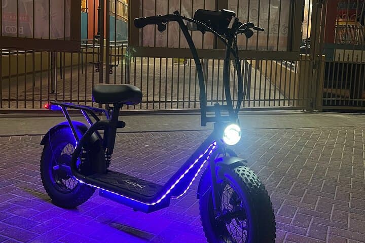 Ride Galveston: U2 Pro Scooter Self-Guided Coastal Tour photo 6
