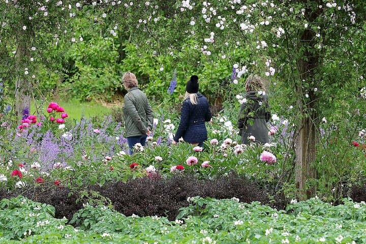 Garden Buggy Loop at Mount Congreve Gardens — 40-Minute Accessible Woodland Tour photo 6