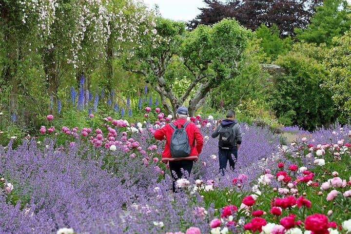 Garden Buggy Loop at Mount Congreve Gardens — 40-Minute Accessible Woodland Tour photo 5