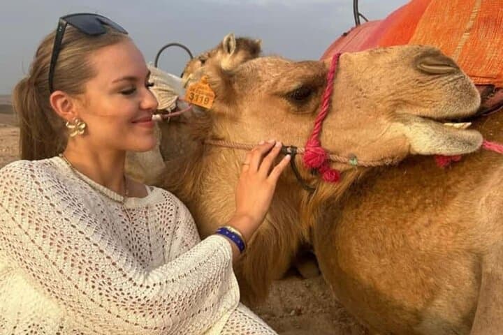 Agafay Desert Sunset Camel Ride and Dinner Show from Marrakech photo 3