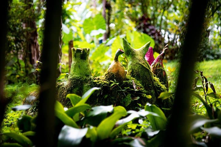 Kvasirs Meadery Experience: Farm Tour, Traditional Polish Meads & ʻŌhiʻa Forest Walk on the Big Island photo 2