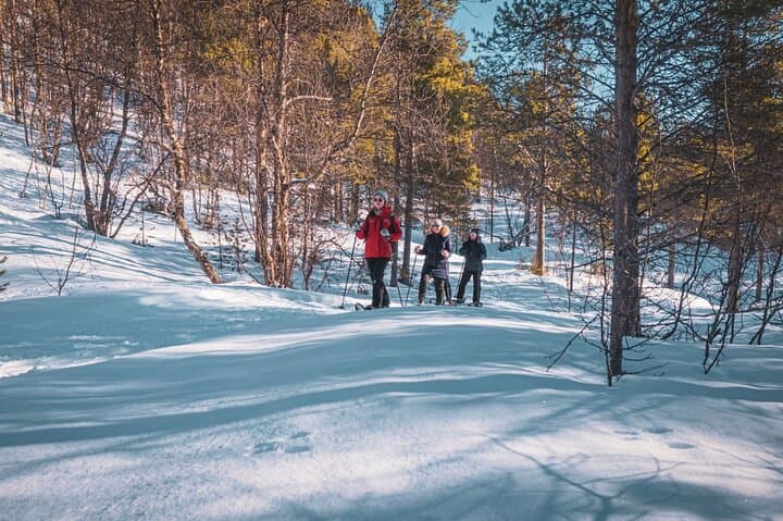 Easy Arctic Snowshoe Adventure from Gargia Lodge Near Alta photo 2