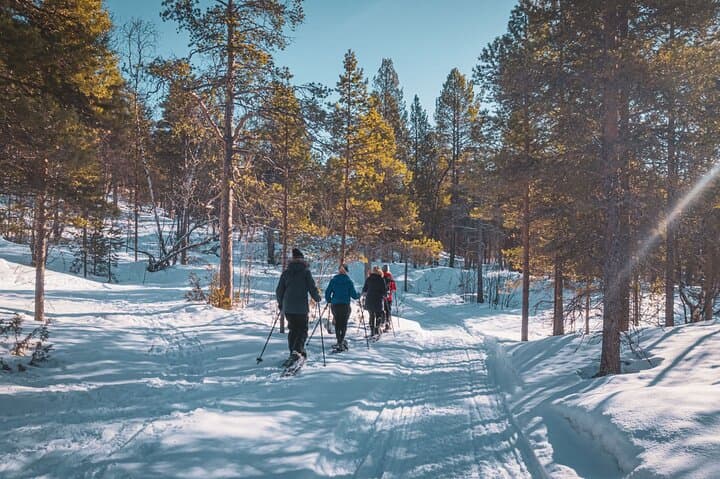 Easy Arctic Snowshoe Adventure from Gargia Lodge Near Alta photo 3