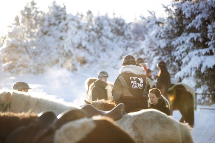 Private Icelandic Horseback Ride from Reykjavík — Tailored for Every Skill Level photo 6