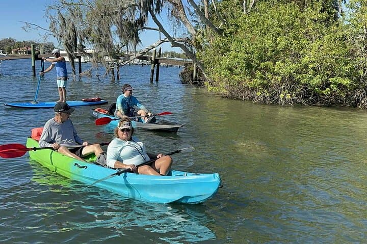 Crystal River Sunset Kayak Tour: Paddle With Manatees in Kings Bay photo 6
