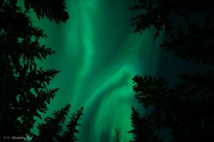 Adults-Only Aurora Hunt in Levi: Northern Lights Wilderness Experience photo 5