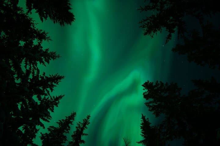Private Aurora Hunt from Levi: Arctic Northern Lights Safari for Small Groups photo 3