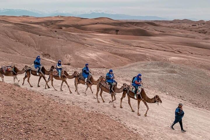 Agafay Desert Quad and Camel Ride from Marrakech — 3–4 Hour Off‑Road Adventure photo 3