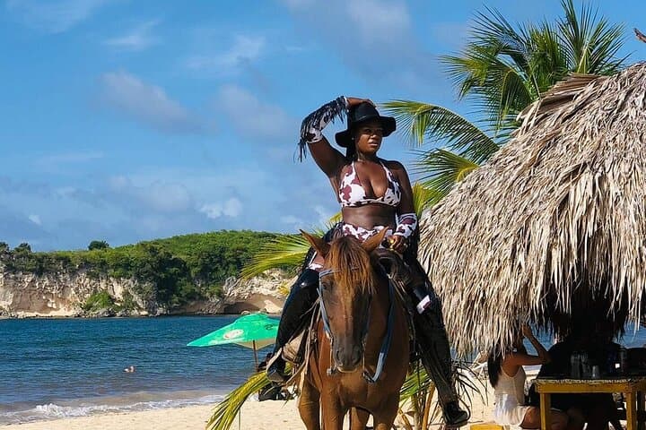 Punta Cana Beach Horseback Riding — Guided Coastal Ride with Private Transport photo 3