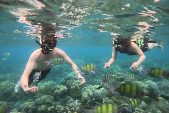 Koh Lipe 4-Island Snorkel & Sunset Longtail Tour — Koh Yang, Jabang, Hin Ngam, Adang photo 2