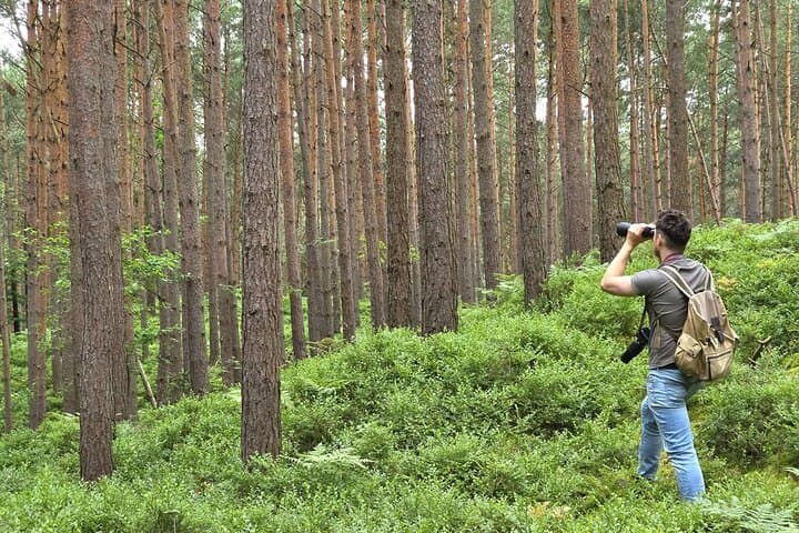 Mewia Łacha Coastal Birding Loop on Sobieszewo Island photo 2