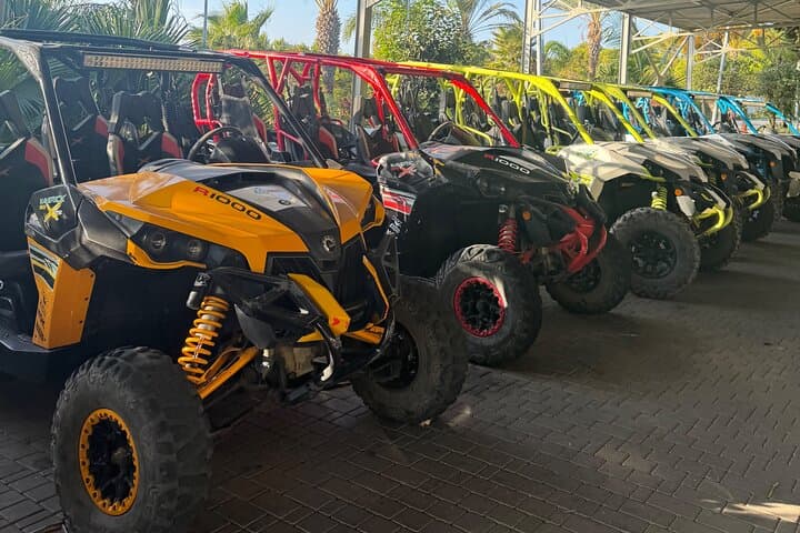 Tangier Beach Buggy & Camel Adventure — Cap Spartel, Hercules Caves & Achakar Beach photo 3