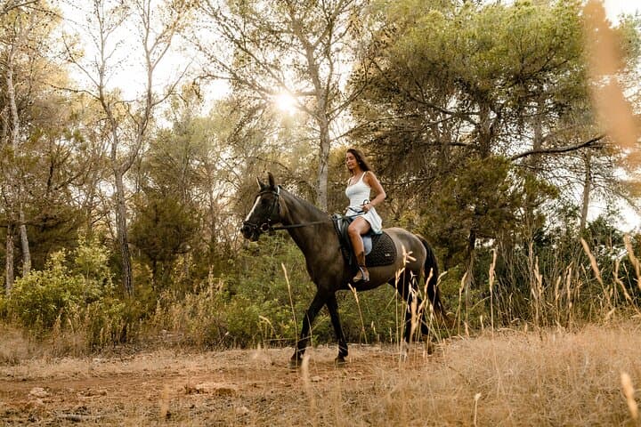 Douro Valley Horseback Riding, Mountain Lunch & Quinta Wine Tasting