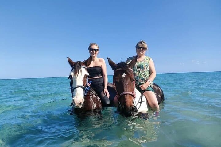 Sunset Horseback Ride: Desert, Beach & Red Sea Experience in Hurghada photo 2