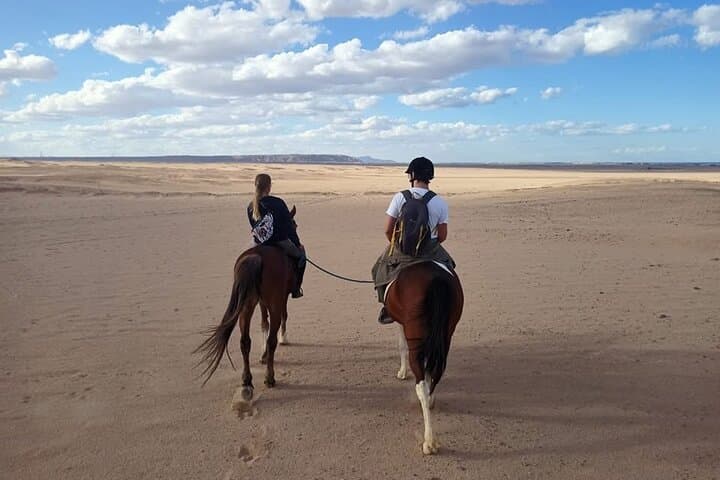 Sunset Horseback Ride: Desert, Beach & Red Sea Experience in Hurghada photo 5