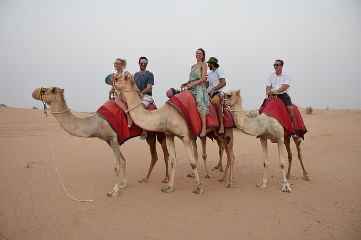 Dubai Morning 30-Minute Private Camel Safari — Dune Ride with Pickup