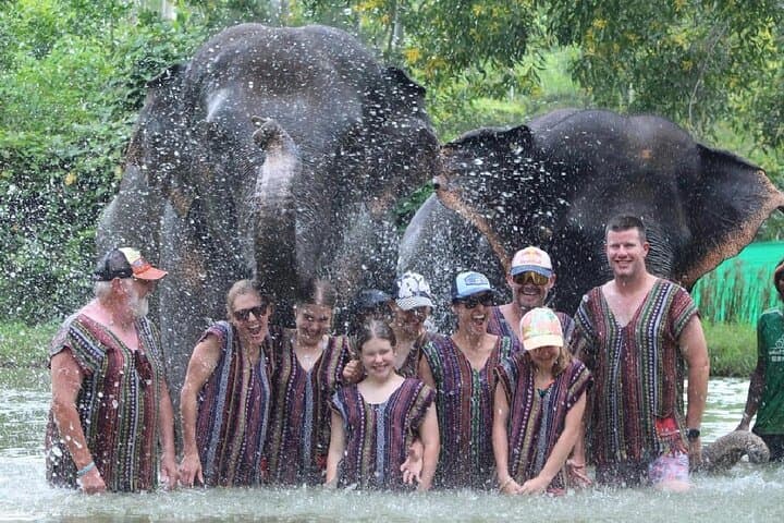 Phuket Ethical Elephant Care: Half-Day Sanctuary Experience at Nai Dee photo 4