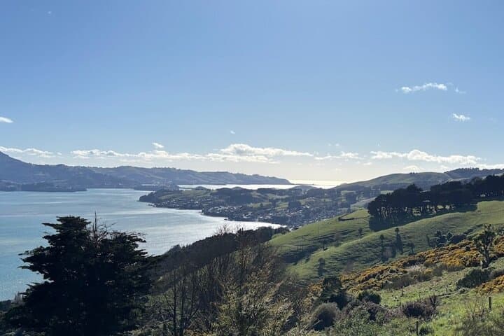 Otago Peninsula Hidden Gems: Self-Guided Driving Tour from Dunedin photo 2