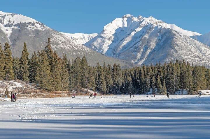 Explore Banff Wildlife: 3-4 Hour Scenic Wildlife & Sightseeing Tour photo 5