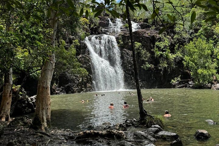 Cedar Creek Express from Airlie Beach — Half-Day Rainforest Walk & Waterhole Swim photo 4