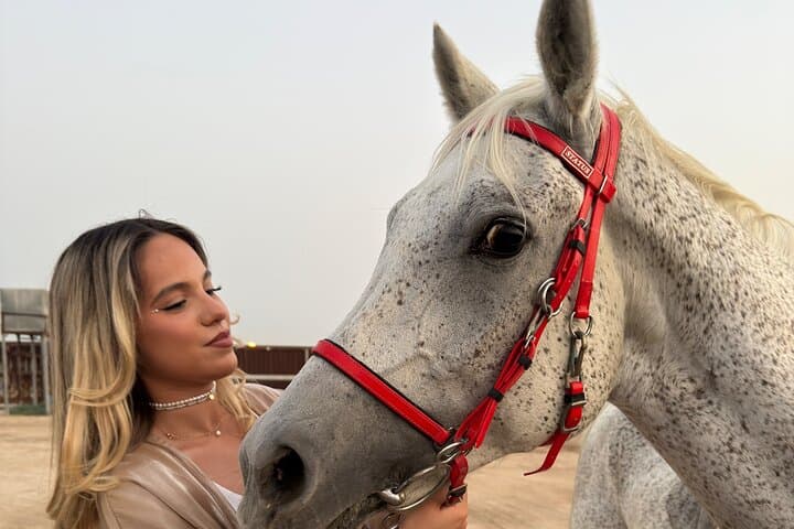 Doha Arabian Horse Riding: Desert Dune Equestrian Experience photo 4