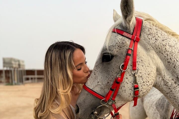 Doha Arabian Horse Riding: Desert Dune Equestrian Experience photo 5