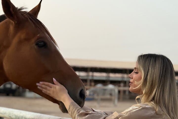 Doha Arabian Horse Riding: Desert Dune Equestrian Experience photo 6